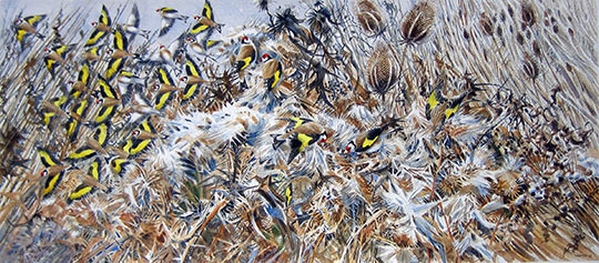 Goldfinch