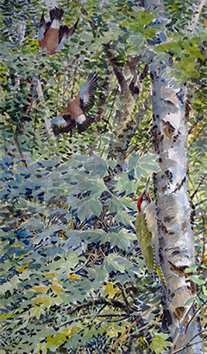 Ptarmigan
