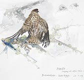 Aig An Oir - Scottish Sketches