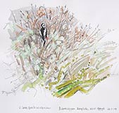 Aig An Oir - Scottish Sketches