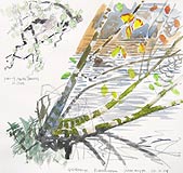 Aig An Oir - Scottish Sketches