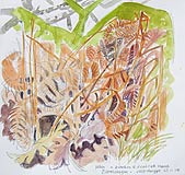 Aig An Oir - Scottish Sketches