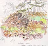 Aig An Oir - Scottish Sketches